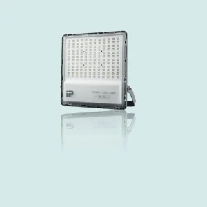 LED Flood Light